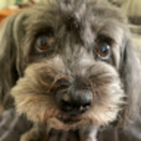 Meet your Posher, Linda - Picture 1 of 1